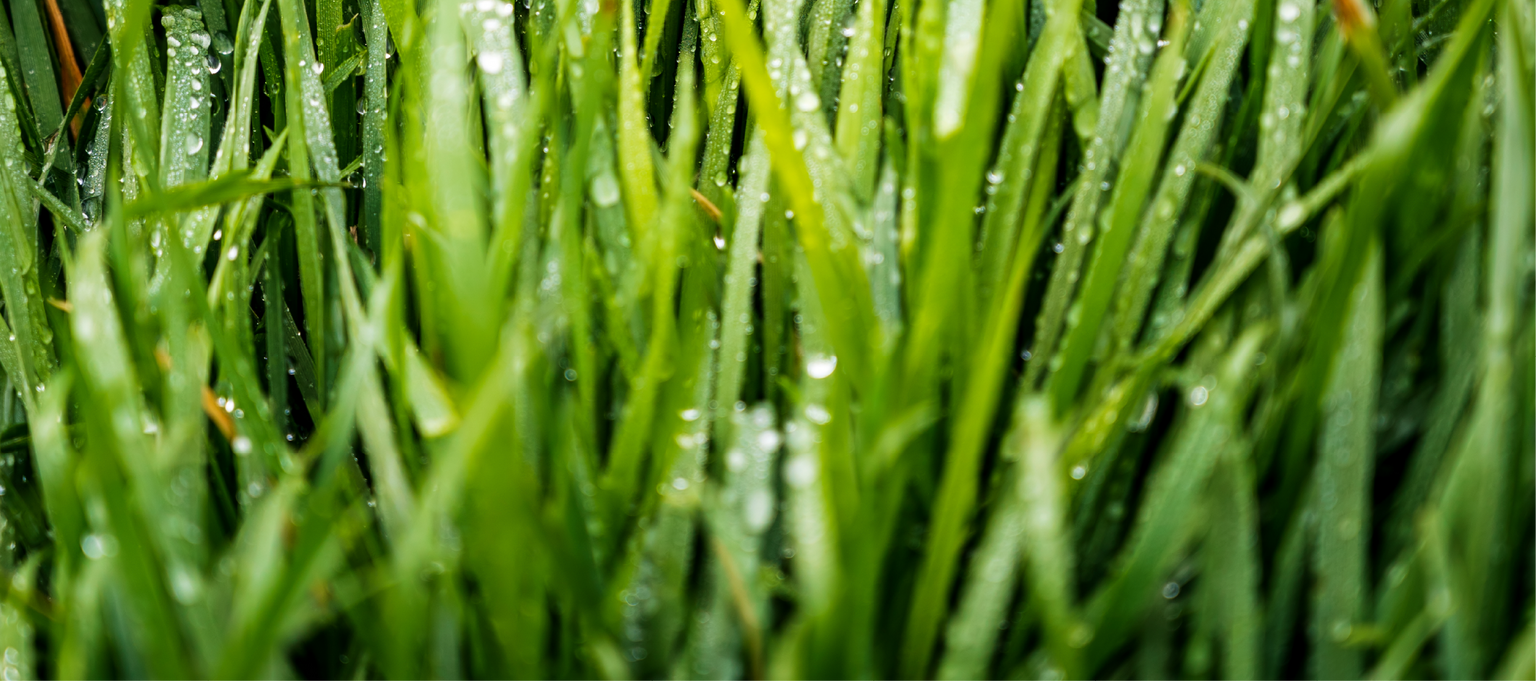 ZS 01_FOTO VYÌRÌEZ