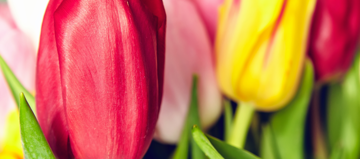 ZS_26-02_FOTO VYÌRÌEZ