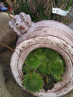 Podzimní dekorace a mrazuvzdorná keramika
