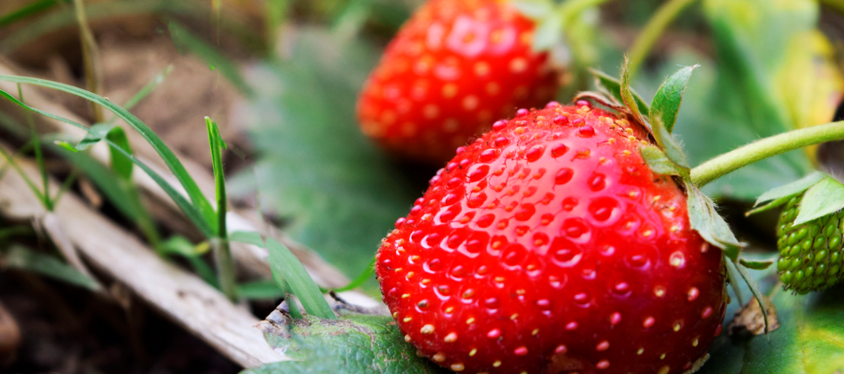 ZS_26-03_FOTO VYÌRÌEZ