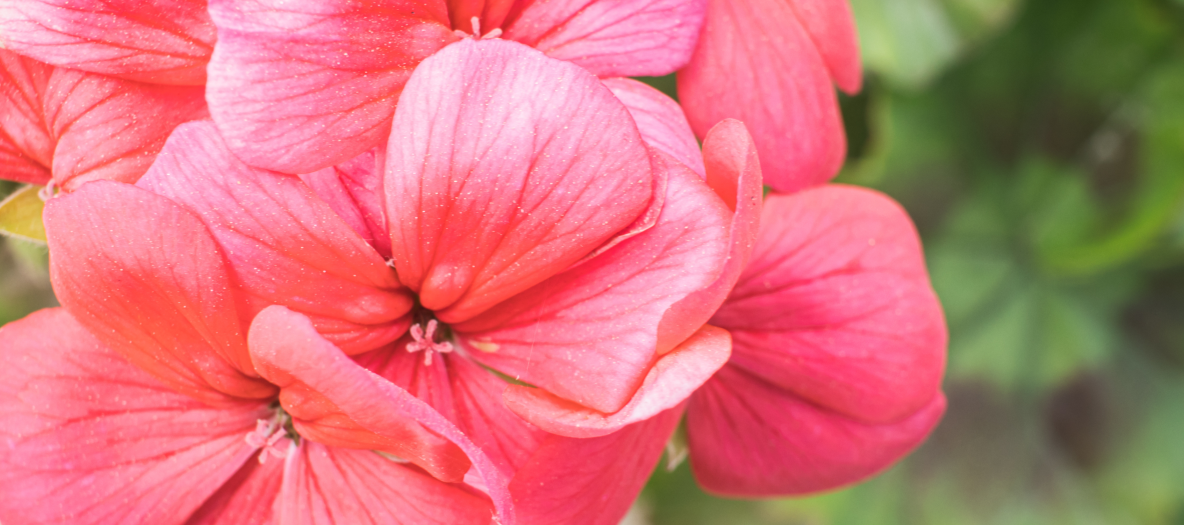 ZS_26-04_FOTO VYÌRÌEZ